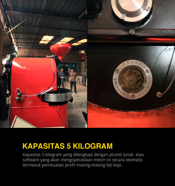 5kg roasting machine